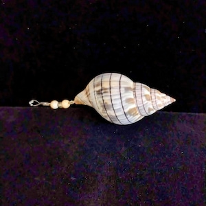 May include: A decorative seashell with a spiral shape, featuring a cream and brown striped pattern. The shell is adorned with a small silver loop and three small, round, off-white beads.