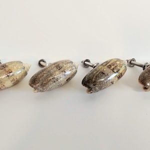 Lettered Olive Florida Seashell Drawer or Cabinet Pulls(4) - dk