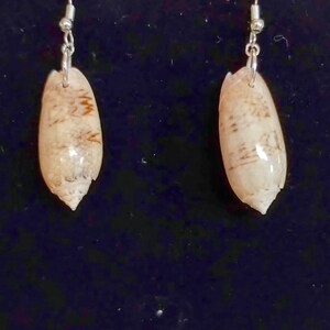 Lettered Olive Florida Sea Shell Earrings - darker