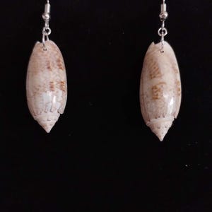 May include: A pair of dangle earrings featuring elongated, cream-colored seashells with brown markings. Each shell is suspended from a silver-toned hook. The earrings have a natural, coastal aesthetic, perfect for beach-themed jewelry.
