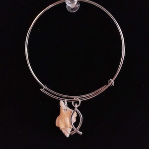 May include: A silver-toned bangle bracelet with two charms. One charm is a small, light brown seashell, and the other is a silver fish symbol. The bracelet is displayed against a black background.