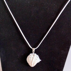 May include: White seashell pendant necklace. The pendant is a textured, white seashell, suspended from a white cord. The necklace is displayed against a black background, highlighting the pendant's details. A simple, elegant piece of jewelry.