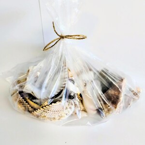 May include: A clear plastic bag tied with twine, filled with a variety of seashells. The shells are in shades of white, tan, and brown, with different textures and shapes. The bag is on a white background.
