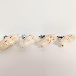 May include: Four decorative cabinet knobs. Each knob is shaped like a light beige seashell with brown markings. The knobs are attached to silver hardware with black screws. The knobs are arranged horizontally.