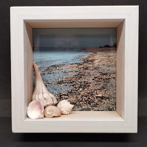 May include: A framed beach scene with seashells. The white-framed artwork features a photograph of a shoreline with a light blue sky and ocean. Several seashells, including a conch and scallop shells, are arranged in the frame's foreground.