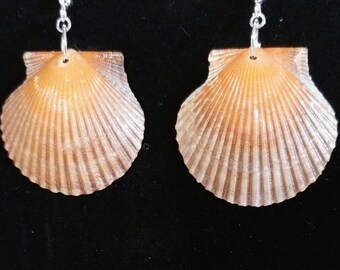 Burnt Orange Bay Scallop Florida Seashell Earrings