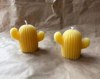 6 pc cactus beeswax candles
