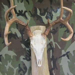 Rustic Natural Edged Wooden European Mounting Board/Plaque