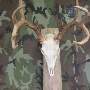 Rustic Natural Edged Wooden European Mounting Board/Plaque