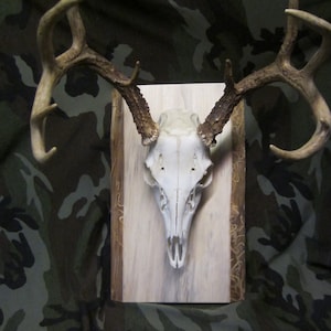 Rustic Natural Edged Wooden European Mounting Board/Plaque