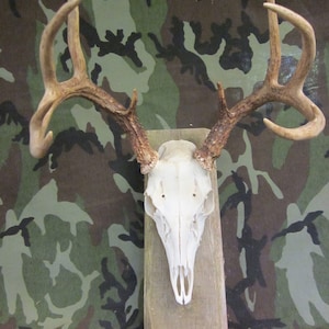 Rustic Natural Edged Wooden European Mounting Board/Plaque