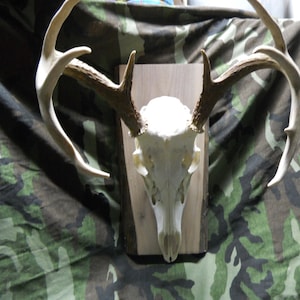 Rustikales europäisches Montagebrett / Plakette aus Holz mit natürlicher Kante