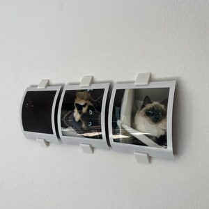 May include: A white wall-mounted photo display featuring three Polaroid-style frames. The frames hold images of a cat. The display is attached to the wall with white clips.