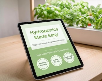 Hydroponics Beginner Guide for Indoor Gardening | Step-by-Step System Setup