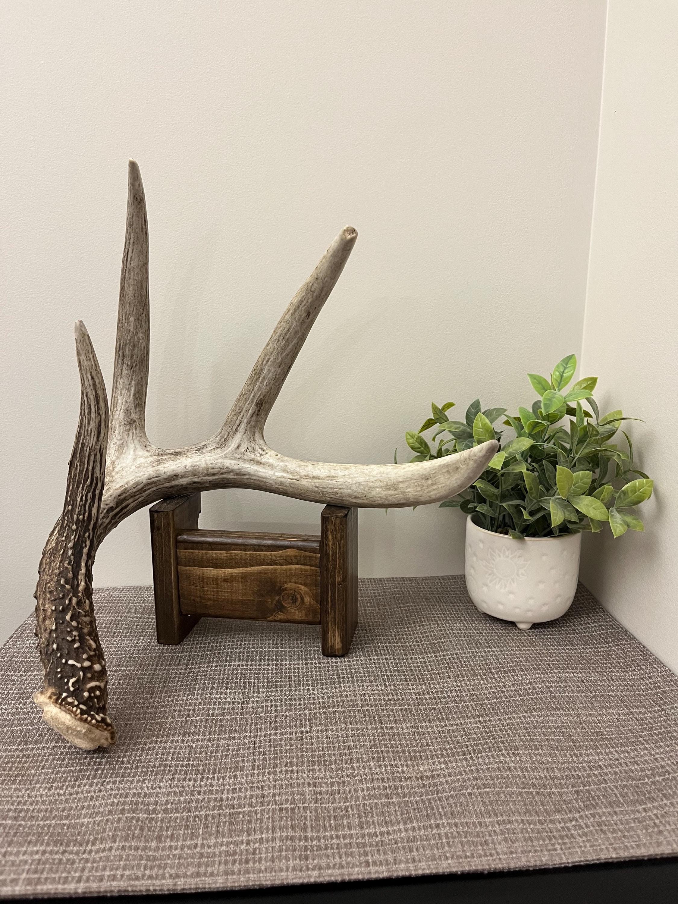 Shed Antler Deer Antler Coat Rack Diy Buy Deer Shed Coat Rack