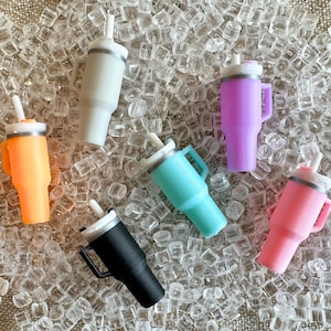 Mini Tumbler With Mini Ice
