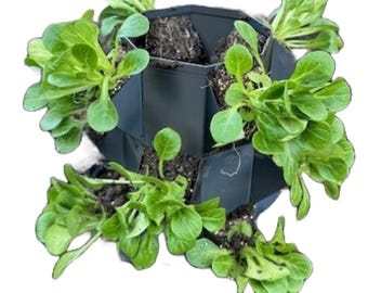 Vertical Grow Tower: Stackable Garden Planter for Herbs & Greens