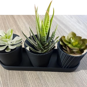 Luxury Set of 3 Mini Planter Pot Modern Design with Drainage Indoor Plant Pot