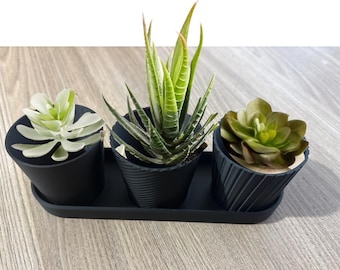 Luxury Set of 3 Mini Planter Pot Modern Design with Drainage Indoor Plant Pot