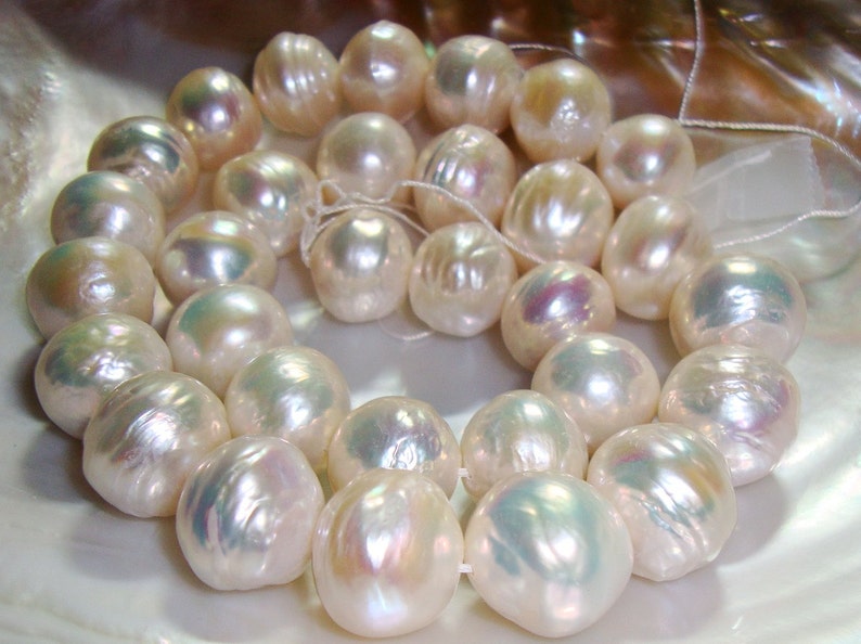 May include: A strand of white freshwater pearls with iridescent highlights. The pearls are round and have a smooth, polished surface.