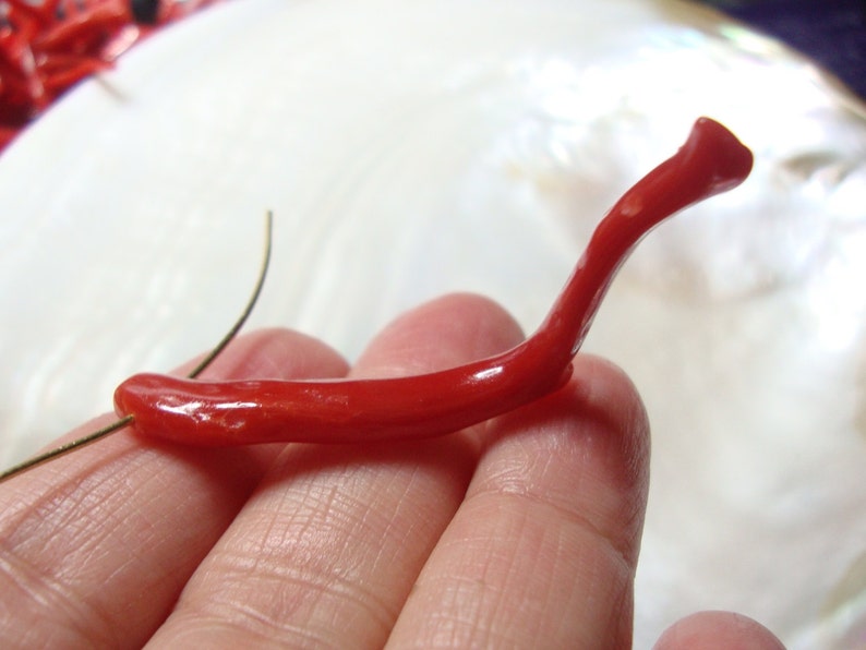 Amazing Red D11 AAA Quality Genuine Mediterranean sea red coral branch 100/% natural