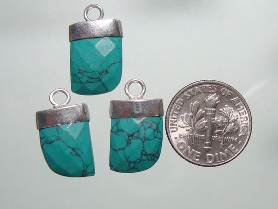 Turquoise Horn Pendant, Small Horn Pendant, Sterling Silver