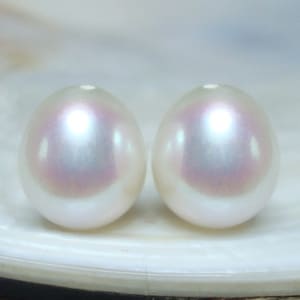 May include: Two white pearls with iridescent sheen, displayed on a white shell background.