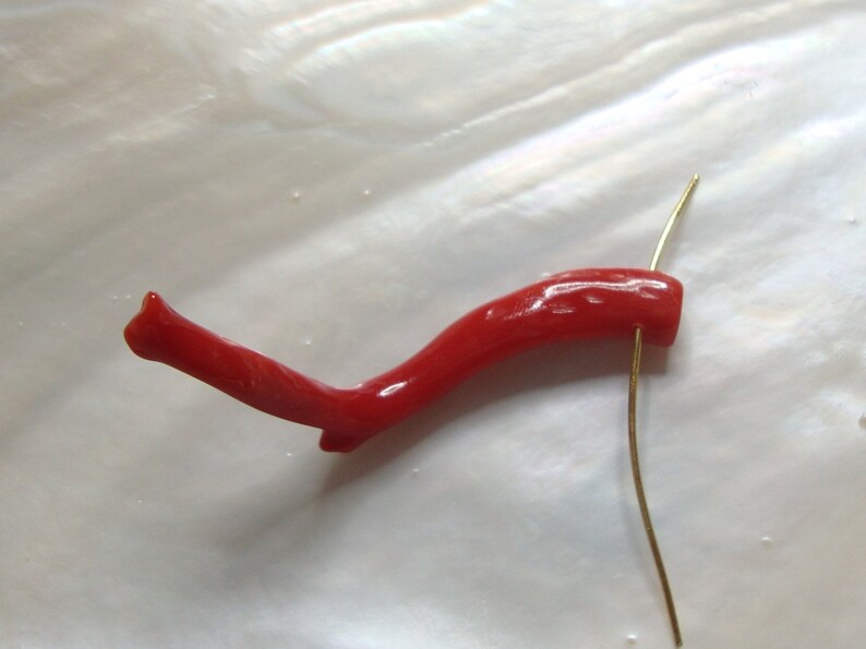 Amazing Red D11 AAA Quality Genuine Mediterranean sea red coral branch 100/% natural
