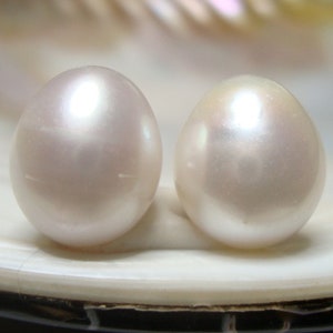 May include: Two white round pearls on a white shell background.