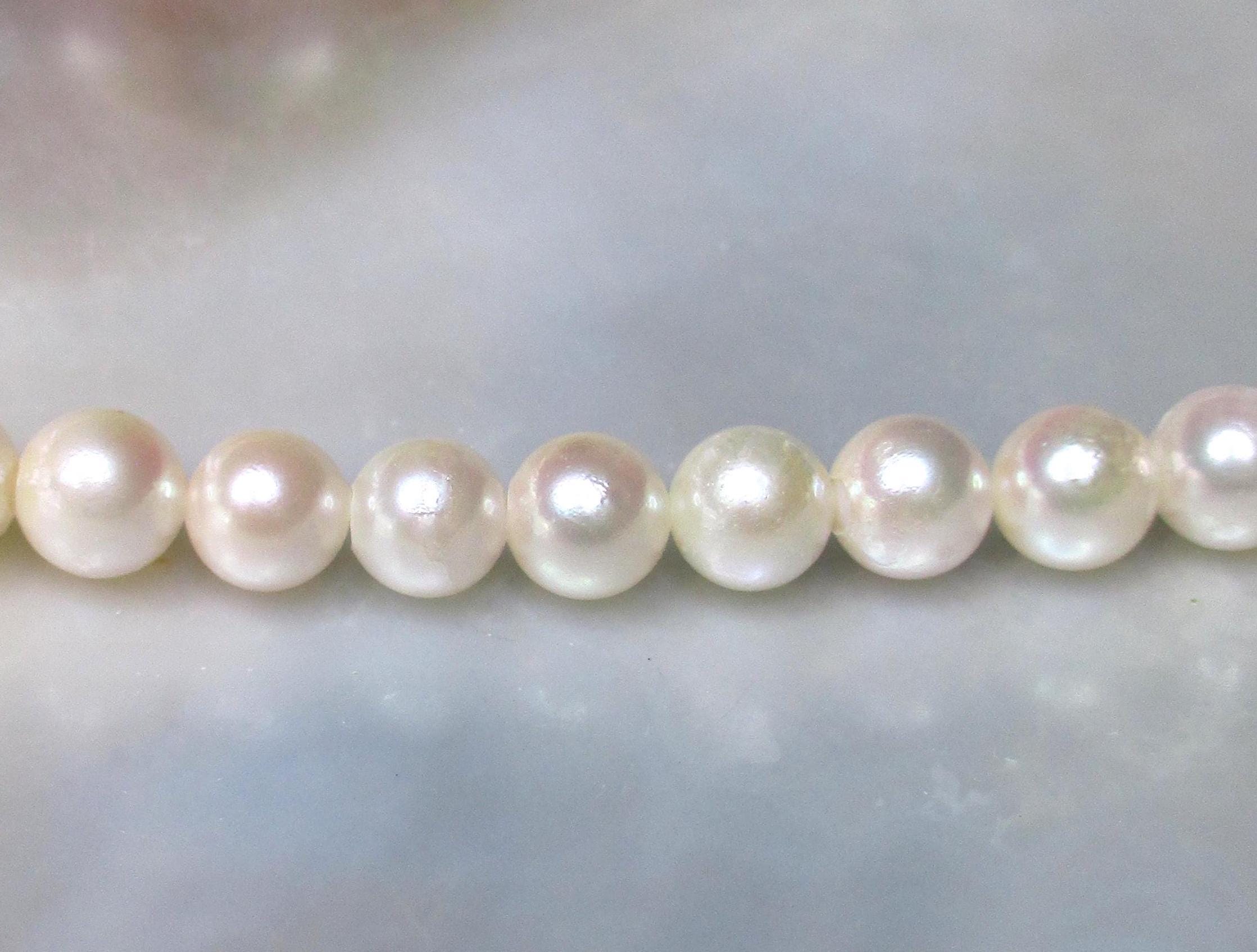 Lustrous Genuine Round Japanese Akoya Pearl, Creamy White