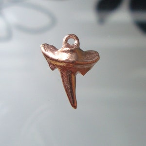 1 Stück Rose Gold über Sterling Silber Kleine solide Haifischzähne, niedlich, cool und schick, PC-0087