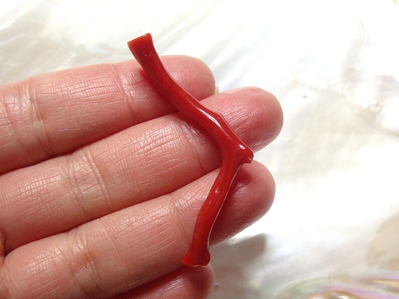 Amazing Red D11 AAA Quality Genuine Mediterranean sea red coral branch 100/% natural