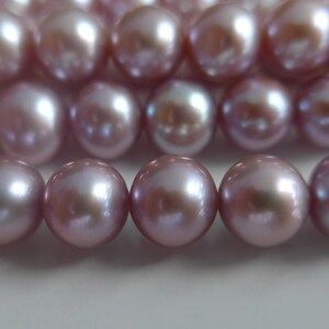 May include: A strand of lavender-coloured pearls, each pearl is smooth and round, with a subtle iridescent sheen.