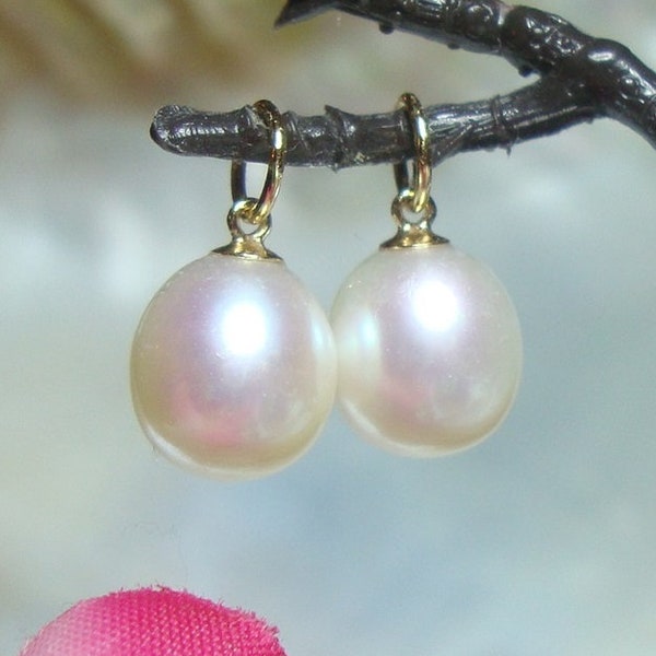 One Pair, 14K Gold AAAA Freshwater Pearl Hooplet, Creamy White Drop Pearl Charm Pendant, Earring Hoop Findings