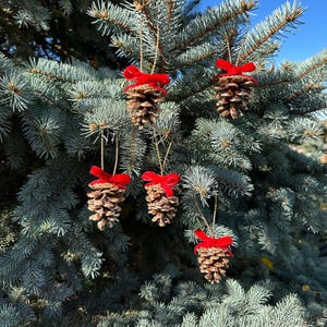 May include: Six pinecone ornaments with red velvet bows hanging from a blue-green evergreen tree. The pinecones are brown and have a glittery finish. Each ornament is suspended by a gold string, creating a festive holiday decoration.