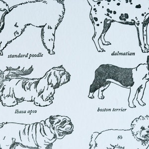 VENTE - carte typographique de race de chiens non sportifs - - 60 % de réduction
