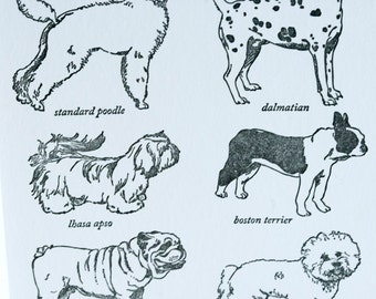 SALE - Letterpress Non-Sporting Dog Breed Card - - 60% off