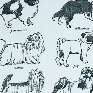 VENTE - carte typographique de race de chien jouet - 60 % de réduction