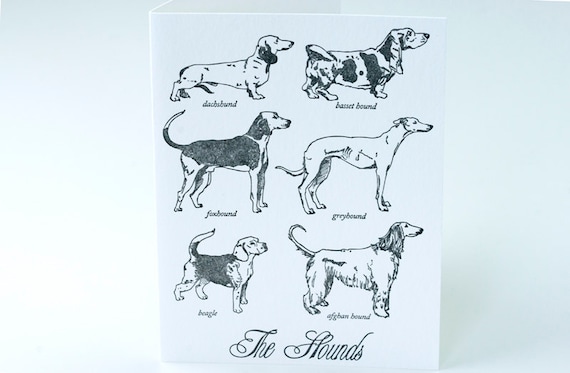 SALE - Letterpress Hounds Dog Breed Card - 60% Off - Etsy