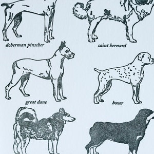 VENTE - carte typographique de race de chien de travail - 60 % de réduction