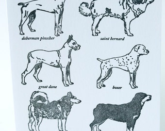 SALE - Letterpress Working Dog Breed Card - 60% off