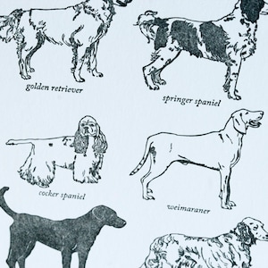 VENTE - Carte typographique de race de chiens de sport - -60%