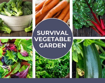 Heirloom Vegetable Seed Kit: 850+ Non-GMO Seeds for Survival Garden