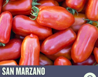 San Marzano Tomato Seeds – Heirloom Italian Plum, Sweet Sauce Tomatoes, Garden Favorite