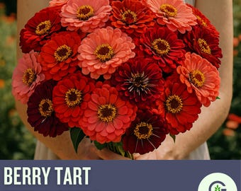 Zinnia, Berry Tart Flower Seed Mix - Heirloom Seeds, Zinnia Flower Mix, Berry Zinnia Mix, Mixed Zinnia Seeds, Pollinator Friendly, Non-GMO