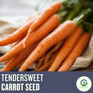 Tendersweet Carrot Seeds – Heirloom, Sweet Flavor, Fast Growing, Non-GMO Veggie Seeds