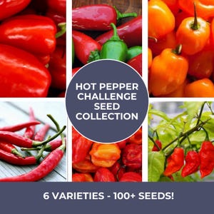 Hot Pepper Challenge Seed Collection - Heirloom, Non-GMO, Super Spicy Pepper Variety Pack