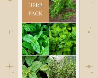 Fall Herb Seed Collection: Organic Autumn Garden Gift Pack