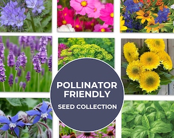 Pollinator Garden Seed Collection - 10 Dazzling Heirloom Flowers To Create A Pollinator Paradise, Gardener Gift, Stocking Stuffer, Non-GMO