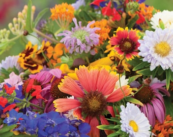 Butterfly & Hummingbird Wildflower Seed Mix, Heirloom Native Garden Flowers